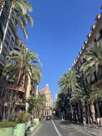 Street amidst palm trees and buildings against sky