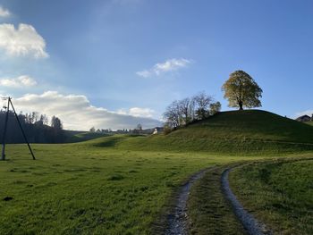 Scenic view of landscape against sky