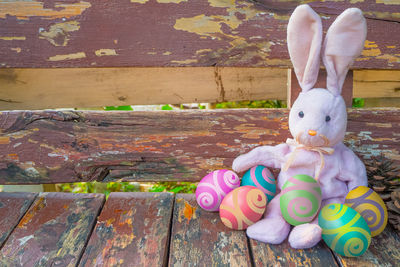 Close-up of multi colored animal representation