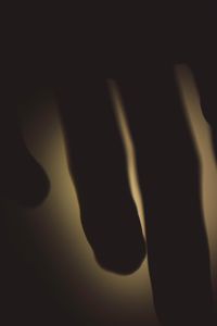 Close-up of silhouette plant against black background