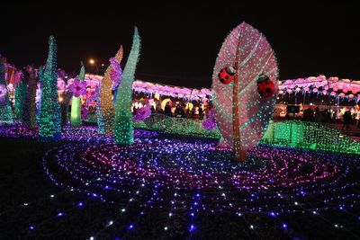 Illuminated firework display at night