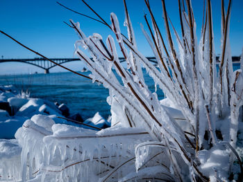 Close-up of frozen sea against sky