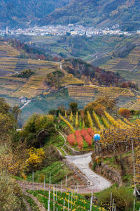 Autumn view of vineyards in the background of a village in a mountain valley