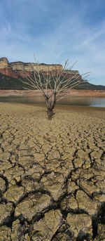 drought