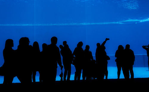 Silhouette people in aquarium