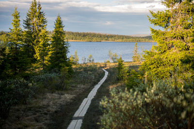 High angle view of footpath towards lake