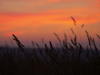 Pennsylvania sunset