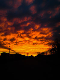 Silhouette of trees against dramatic sky