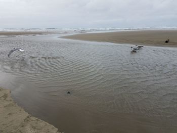 Scenic view of beach against sky