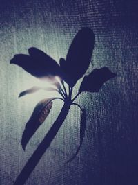 Shadow of people on tiled floor