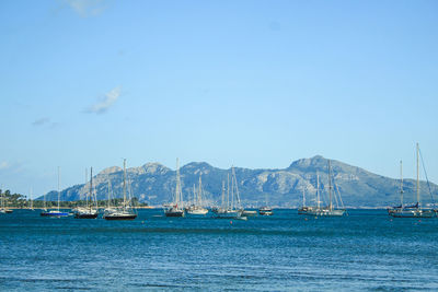 Sailboats sailing in sea against sky