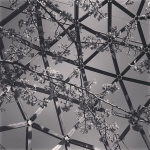 Low angle view of plants growing on roof against sky