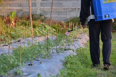 Low section of person spraying pesticides on plants