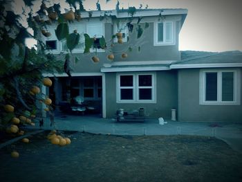 Exterior of house