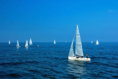 Sailboat sailing in sea against clear sky