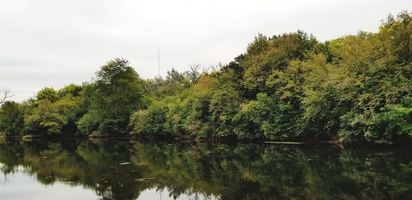 Reflection of trees in lake against sky