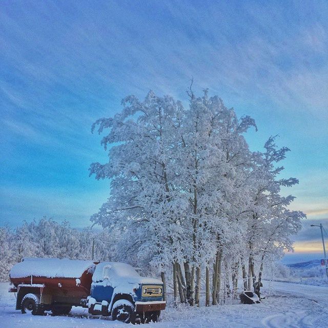 snow, winter, cold temperature, season, weather, tree, covering, land vehicle, transportation, car, mode of transport, sky, nature, bare tree, landscape, tranquility, beauty in nature, tranquil scene, frozen, field