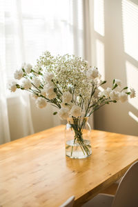 Potted plant on table at home