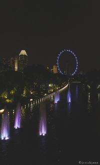 Illuminated ferris wheel in city at night