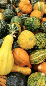 Close-up of vegetables in market