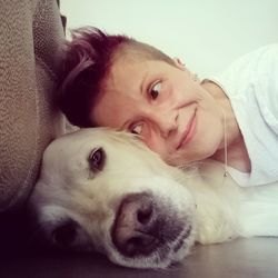 Portrait of dog lying down on sofa at home