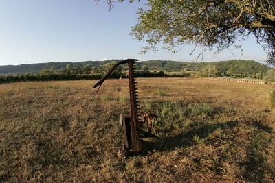 Scenic view of field against clear sky