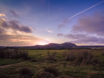 Scenic view of field against sky during sunset