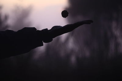 Close-up of silhouette hand against sky during sunset