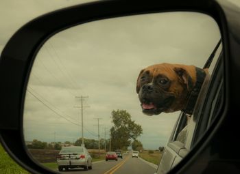 Car on road