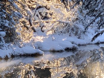 Scenic view of frozen lake during winter