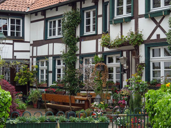 The german village of westerholt
