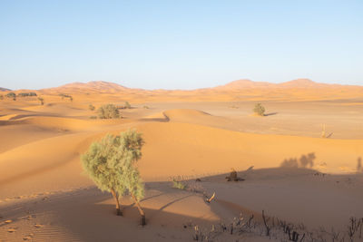 Scenic view of desert against clear sky