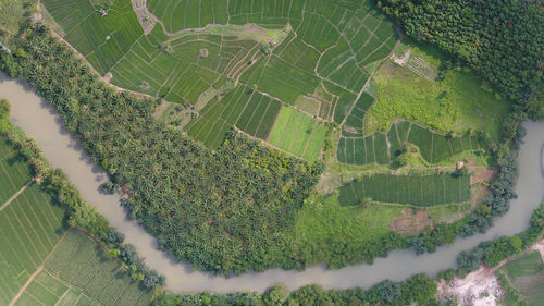 A river between rice fields and plantations