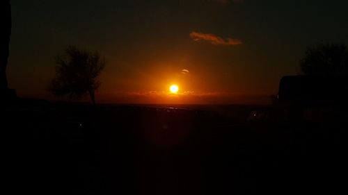 Silhouette of trees at sunset