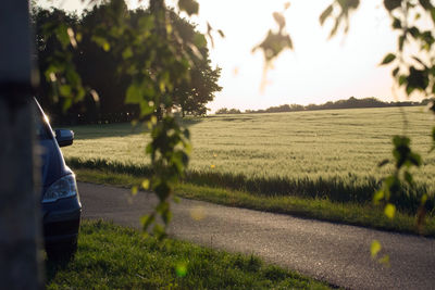 Man on field by trees against sky