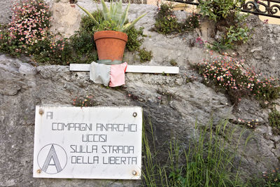 Information sign on plant at cemetery