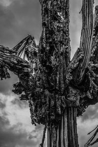 Low angle view of tree against sky