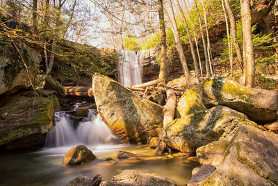 Scenic view of waterfall in forest against sky