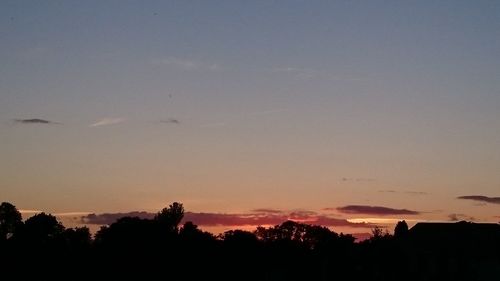 Silhouette trees against sky during sunset