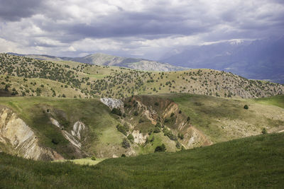 environment