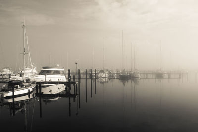 Boats in harbor