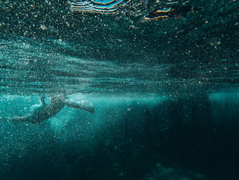 Person swimming in sea