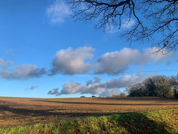 Scenic view of agricultural field against sky