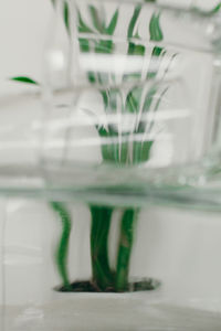 Close-up of glass vase on table