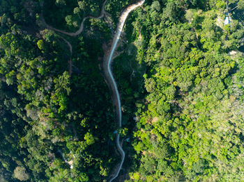 High angle view of road amidst trees