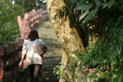 Rear view of couple standing by tree