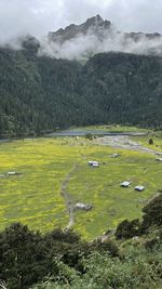 Scenic view of field against mountains