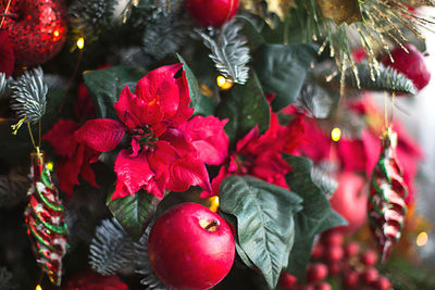 Close-up of christmas decorations on plant