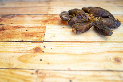 High angle view of crab on table