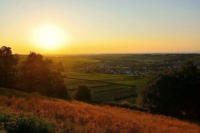 Scenic view of field against sky during sunset